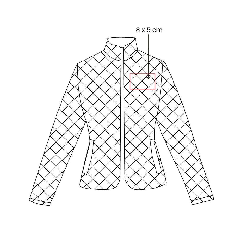 https://www.contenidopromo.com/Images/vectores/CHM-023.jpg