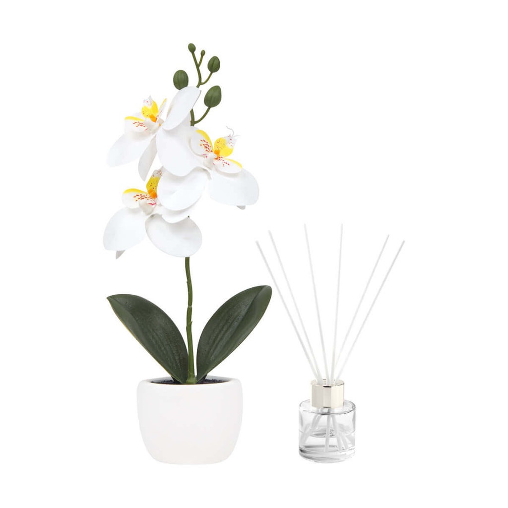 https://www.contenidopromo.com/Images/Items/KTC-978-B_2.jpg
