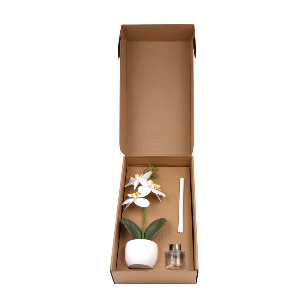 https://www.contenidopromo.com/Images/Items/KTC-978-B_3.jpg