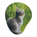 https://www.contenidopromo.com/Images/Items/MOP-004-B_1.jpg