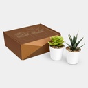 https://multimedias3-cloudsync-synology.s3.us-west-2.amazonaws.com/thumbnail_modelos/KTC-750.jpg?v=208088699